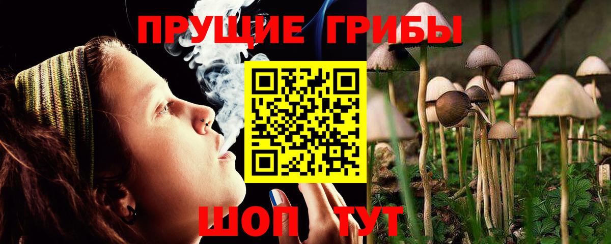 Галлюциногенные грибы MAGIC MUSHROOMS Лысьва